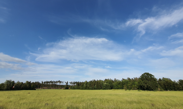 söderskogen