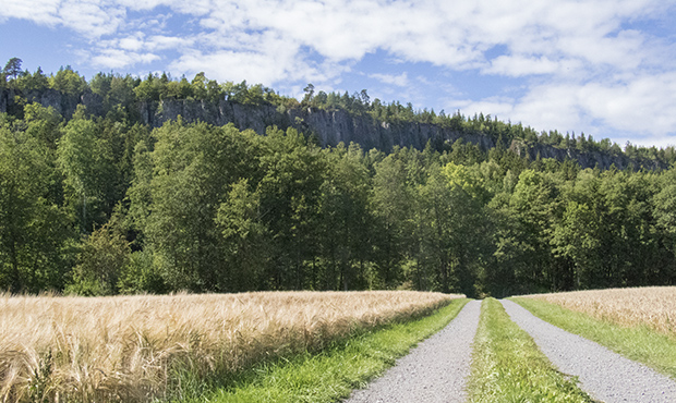 Hunneberg en del av Geoparksprojekt.