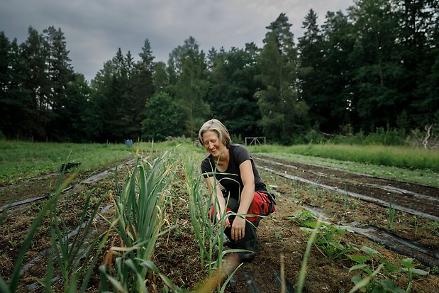 Lillegårdens Grönt